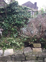 Help with this area please....overcrowded?