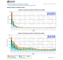 Strange goings on with the flu numbers and other expected deaths this year - globally