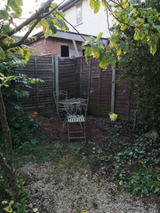 What to plant - tree and wild ish ground cover
