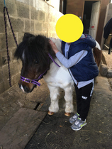 Potential share advice please!