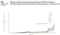 The rate of infections in schools is being suppressed from public knowledge