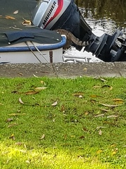 Thug cat part 3.  Unbidden guests are often welcomest when they are gone.
