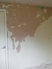 After the wallpaper has gone ...