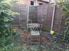 Garden dreams ....