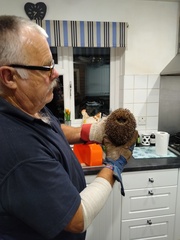 Safely into a frugal September saving as we go...