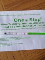 Ovulation around 17-22 Sept who's with me?