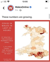 To ask what on Earth wales are doing?