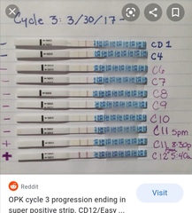 Planning to TTC this month for the first time, anyone else?