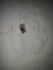 Baby Gate Keeps Coming Off The Wall