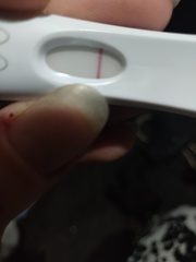 Evap or faint positive [picture warning]
