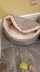 Has anybody bought a felt cat cave? Any tips?