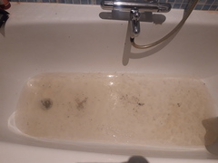 To not know how to fix the toilet asap??!