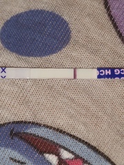Nov Bus 20 - CD1 can suck hairy b*lls