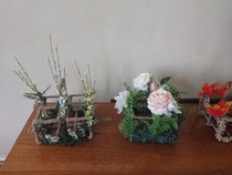 DD is mocking me because I'm putting my winter decor up.