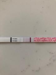 🦕 Catching up - ttc after miscarriage part 4 🦕
