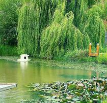 NOT what I expected to wake up to this morning...