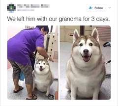 Can we have a meme thread?
