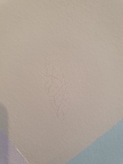 What have we done wrong with this paint??