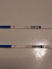 I need eyes! V faint IC. Should I try a frer today?