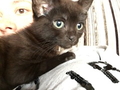 Meet Pheobe!