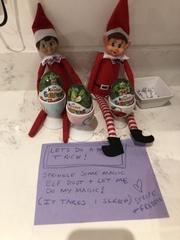What will your elf be up to?