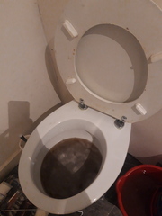 To not know how to fix the toilet asap??!