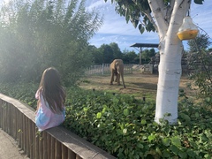 What’s your favourite photo taken in 2020?