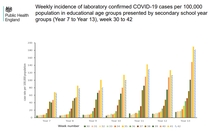 Pure data thread #1: Daily numbers, graphs, focused analyses