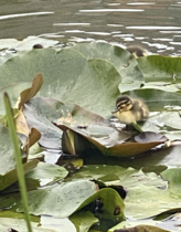 NOT what I expected to wake up to this morning...