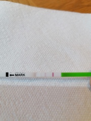 Ovulation around 17-22 Sept who's with me?