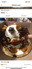 Cakes gone wrong!