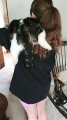 Keep your filthy disgusting cats at home!