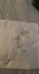 Mucus plug??