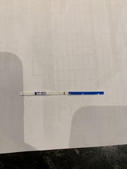 October IVF
