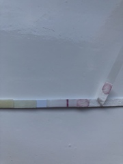 Is this a BFP? Or is this a faulty test?