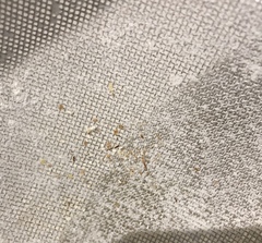 What’s thus in my flour?
