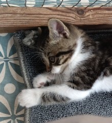 Need name ideas!