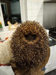 Safely into a frugal September saving as we go...