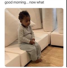 Can we have a meme thread?