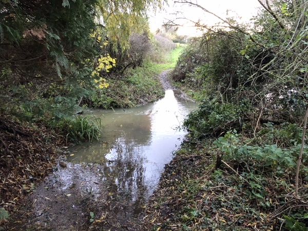 Come and tell me your dull and unexciting news 6: Calmly through the day