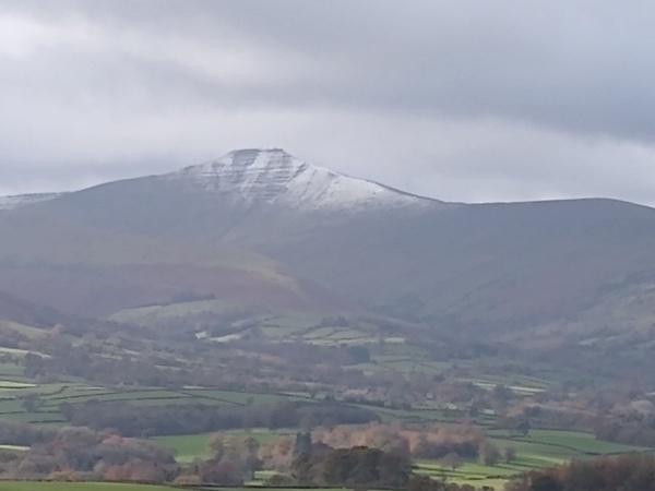 Frugal friends follow each other frugally through Hallowe'en, COVID all welcome