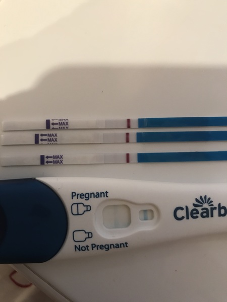 Support thread for women who are pregnant or TTC following a termination for abnormalities. Thread 7