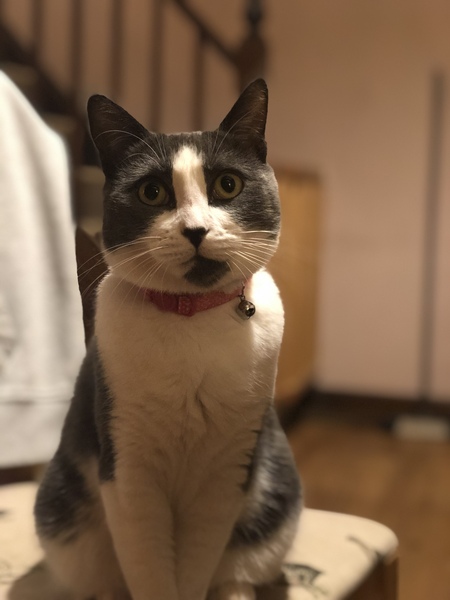 Come and tell me your dull and unexciting news 6: Calmly through the day