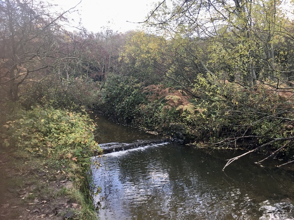 Howay the lasses - it's thread (but hopefully not tier) 3!