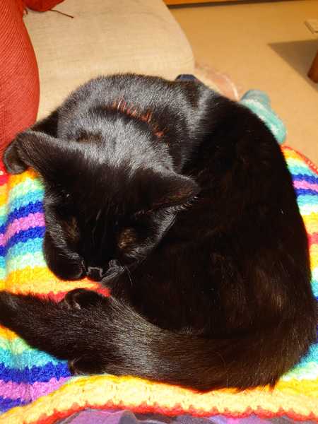 Knit, Crochet and Natter Thread