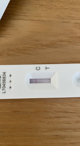 Anyone else doing home corona virus tests? Gives a whole other meaning to "can you see a line...?"