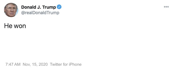 Donald has barricaded himself in the WH and we have Georgia on our minds. (Trump thread #113)
