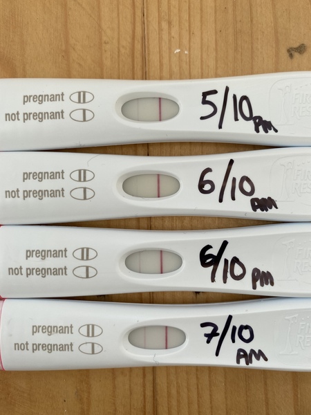Negative test 6dpo