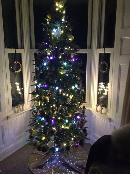 Get your trees out!!!!!