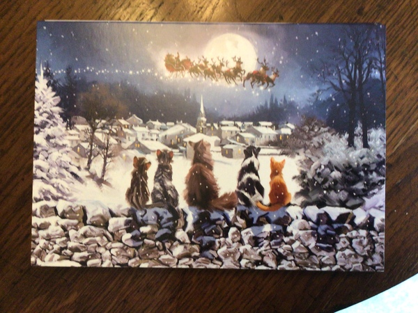 Can I see photos of your advert calendars?